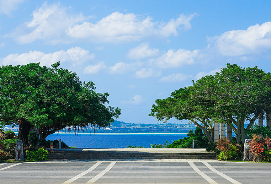 画像:国営沖縄記念公園「海洋博公園」