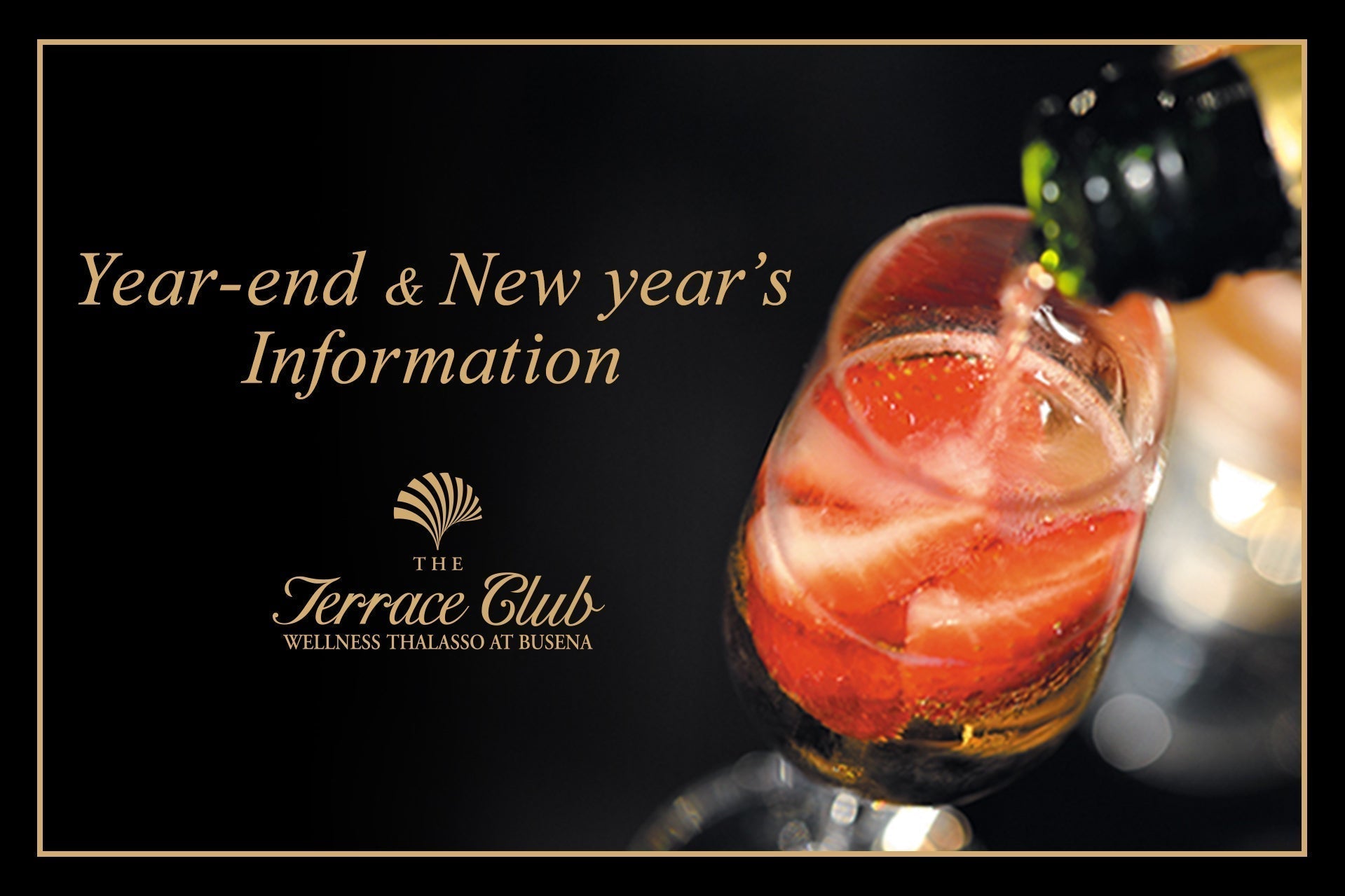 New Year Celebration 2026